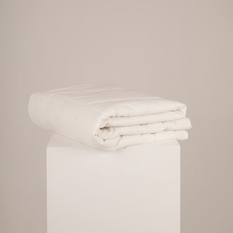 3-in-1 Caravan Doona