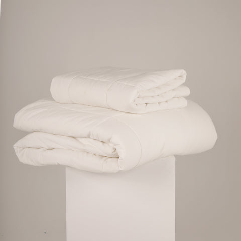 3-in-1 Caravan Doona