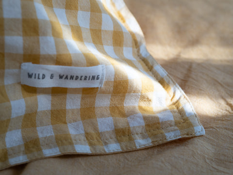 Coastal Collection Euro Pillowcases (set of 2)