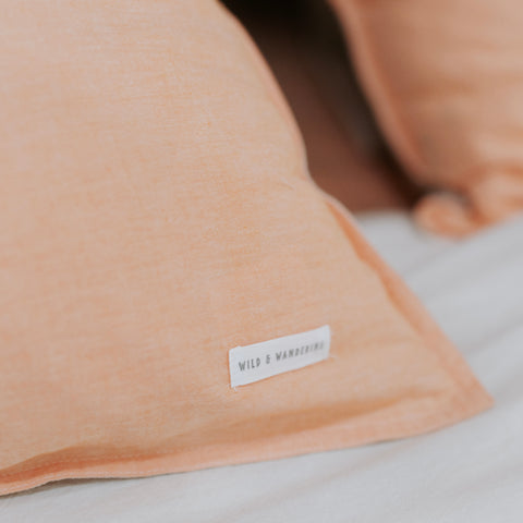 Coastal Collection Euro Pillowcases (set of 2)